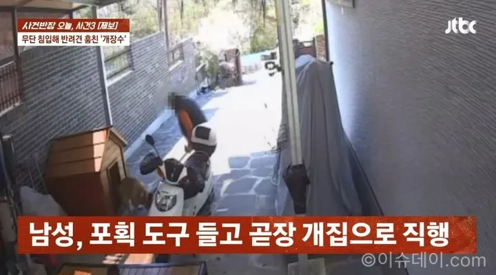 반려견 납치