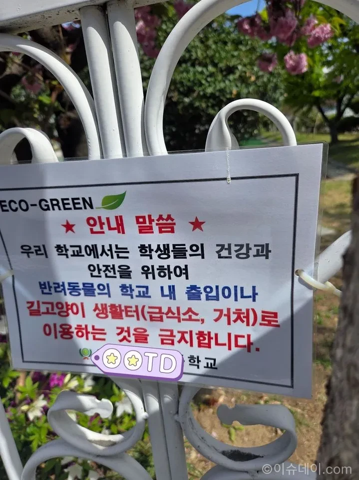 학교 놀이터 고양이 배설물