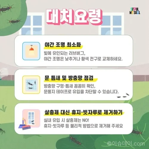 2026년 러브버그 대발생 우려가 커지면서 서울시와 자치구가 친환경 방제 강화에 나섰다. 유충 단계 Bti 살포부터 드론 방제, 포집기 운영까지 핵심 대응 전략을 정리했다.