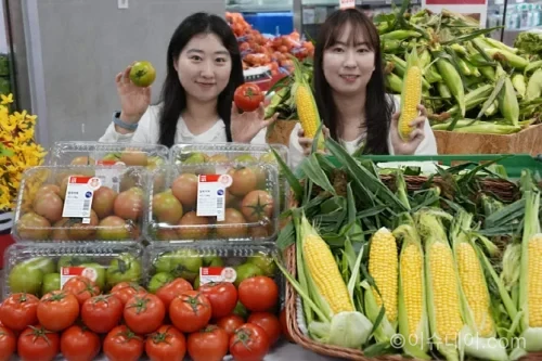 롯데마트가 강원 찰토마토와 초당옥수수 판매 시기를 예년보다 앞당겼다. 기후 변화에 따른 농산물 조기 출하와 유통업계 얼리 시즌 경쟁 흐름까지 정리했다.