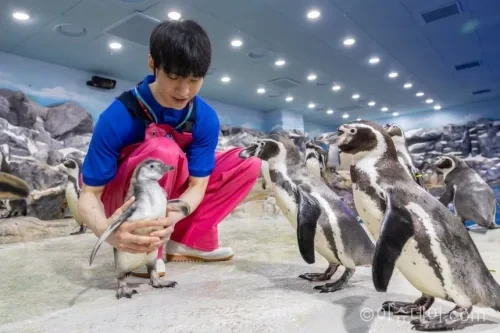 롯데월드 아쿠아리움 