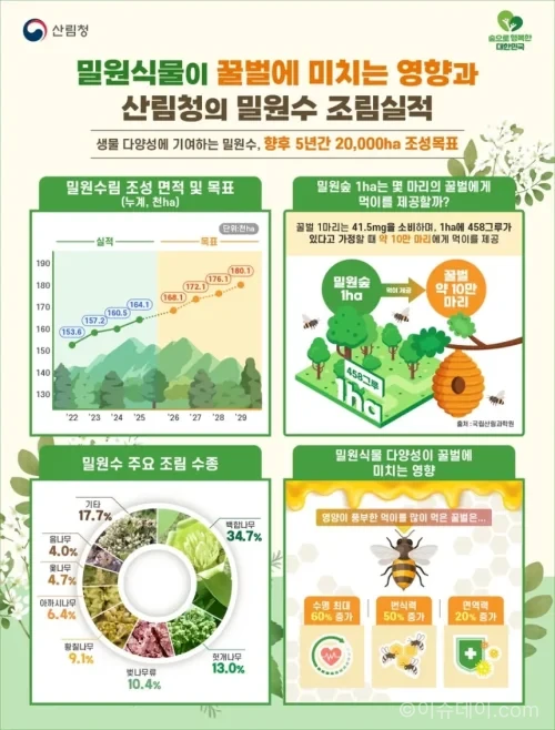 산림청이 세계 벌의 날을 맞아 과학기반 밀원숲 조성 계획을 발표했다. 연간 조성 목표를 4,000ha로 높이고 쉬나무, 이나무, 헛개나무, 피나무 등 고기능성 밀원수 도입과 밀원수 특화단지 지정을 추진한다.