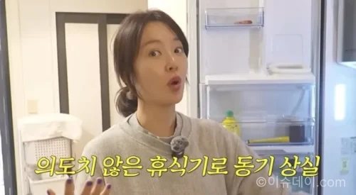 황정음 근