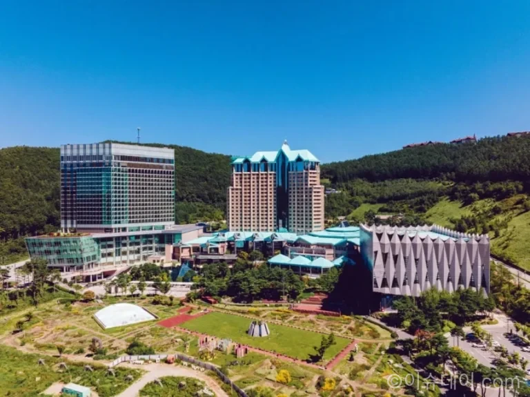강원랜드