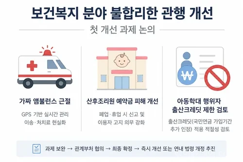 보건복지 정상화 TF가 첫 회의를 열고 가짜 앰뷸런스, 산후조리원 예약금 피해, 아동학대 행위자 출산크레딧 제한 등 개선 과제를 논의한다.