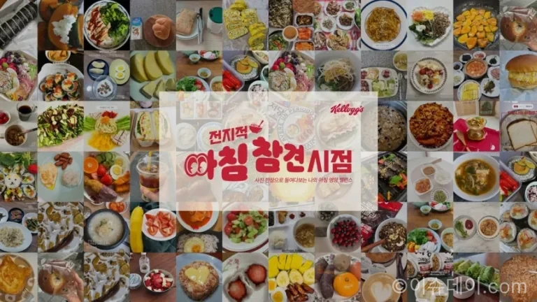 켈로그가 아침식사 사진 1,659건을 분석한 결과 한국인의 아침식사는 달걀과 유제품 등 단백질 식품 중심인 반면 통곡물 섭취는 부족한 것으로 나타났다. 달걀, 밥, 빵, 시리얼·그래놀라 비중과 균형 잡힌 아침 식단 구성법을 정리한다.