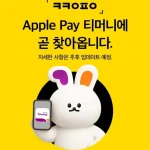 애플페이 티머니
