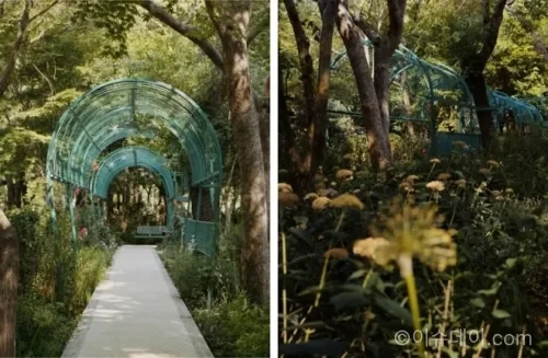 디올이 서울 도심에 특별한 정원 산책로 Garden of Dreams를 선보인다. 크리스챤 디올의 그랑빌 정원과 한국 전통 꽃살문, 조경가 정영선의 감각이 결합된 공간이다.