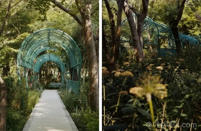 디올이 서울 도심에 특별한 정원 산책로 Garden of Dreams를 선보인다. 크리스챤 디올의 그랑빌 정원과 한국 전통 꽃살문, 조경가 정영선의 감각이 결합된 공간이다.