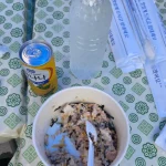 장애인 체육대회