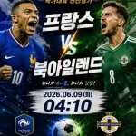 프랑스 북아일랜드 친선경기