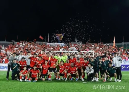 강원FC 사기