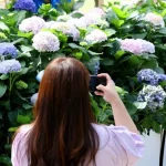 강진군이 2026년 6월 10일부터 8월까지 ‘2026 강진 반값여행’을 운영한다. 강진 외 지역 청년 1인 여행객은 3만 원 이상 소비 시 사용금액의 70%, 최대 14만 원을 모바일 강진사랑상품권으로 지원받을 수 있다.