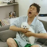 전현무 반려견