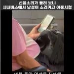 시내버스 음란물