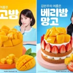 파리바게뜨 망고밤 케이크