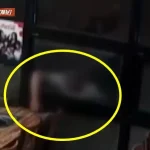 휴대전화 방충망