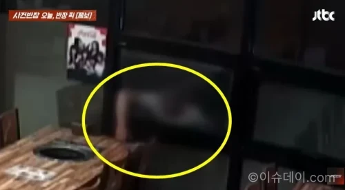 휴대전화 방충망
