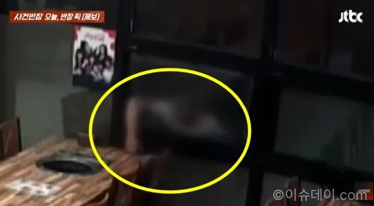 휴대전화 방충망