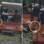 춘천 레일바이크