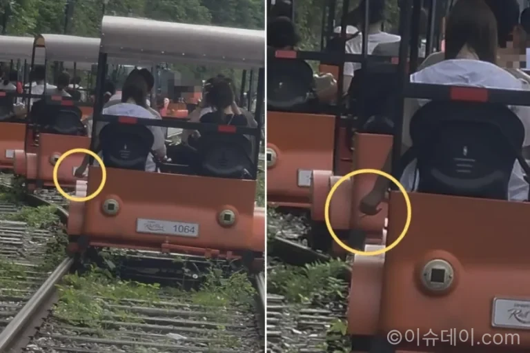 춘천 레일바이크