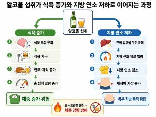 술은 알코올 열량뿐 아니라 식욕 증가, 안주 섭취, 지방 산화 억제 때문에 다이어트에 불리하게 작용할 수 있다. 금주가 어렵다면 물, 탄산수, 운동, 취미 활동으로 음주 습관을 대체하는 방법을 정리한다.