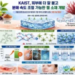 KAIST 이해신 교수 연구팀이 차와 과일 등에 풍부한 탄닌산을 활용해 피부 접착성과 분해 속도 조절이 가능한 카파-카라기난 하이드로겔을 개발했다. 저장탄성률은 기존 대비 5배 이상 향상됐다.