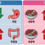 서울대병원·이대서울병원 공동 연구진은 한국인 40세 이상 성인 14만7562명을 분석해 육류 종류별 섭취량과 암종별 사망률의 연관성을 발표했다. 전체 육류 섭취량은 전체 암 사망률과 유의한 관련이 없었지만, 남성 가공육 섭취자는 직장암 사망 위험이 2.45배 높았고 여성 내장육 섭취군은 유방암·췌장암 사망 위험이 높았다.
