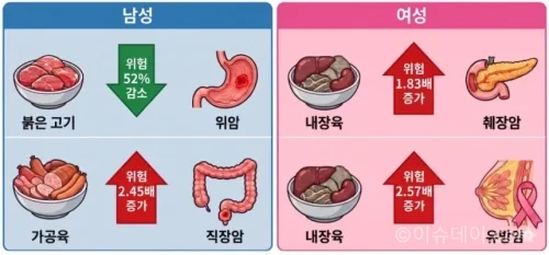 서울대병원·이대서울병원 공동 연구진은 한국인 40세 이상 성인 14만7562명을 분석해 고기 종류별 섭취량과 암종별 사망률의 연관성을 발표했다. 전체 육류 섭취량은 전체 암 사망률과 유의한 관련이 없었지만, 남성 가공육 섭취자는 직장암 사망 위험이 2.45배 높았고 여성 내장육 섭취군은 유방암·췌장암 사망 위험이 높았다.