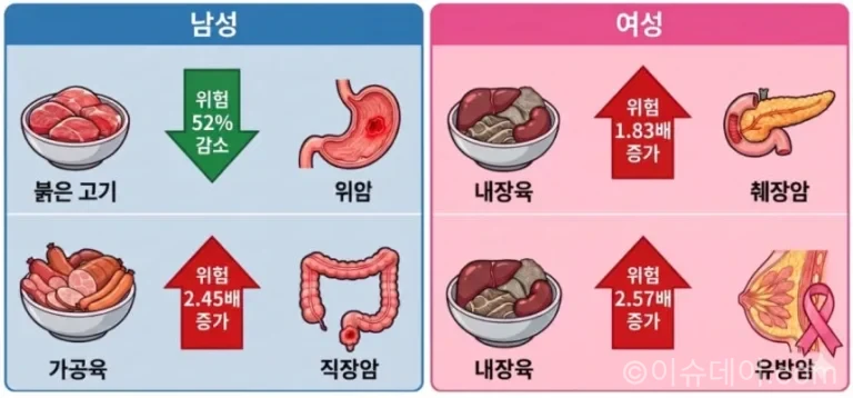 서울대병원·이대서울병원 공동 연구진은 한국인 40세 이상 성인 14만7562명을 분석해 육류 종류별 섭취량과 암종별 사망률의 연관성을 발표했다. 전체 육류 섭취량은 전체 암 사망률과 유의한 관련이 없었지만, 남성 가공육 섭취자는 직장암 사망 위험이 2.45배 높았고 여성 내장육 섭취군은 유방암·췌장암 사망 위험이 높았다.