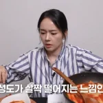 한가인 유튜브 떡볶이 리뷰