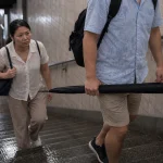 장우산 가로잡기 위험성, 최대 충격 240.3㎏f