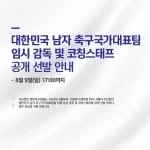 대한축구협회 국가대표 감독