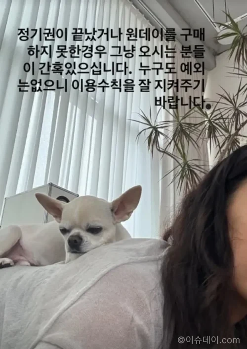이효리 아난다 요가