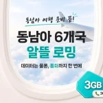 KT 로밍