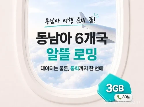 KT 로밍
