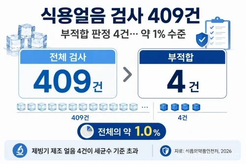 식용얼음 409건 검사와 제빙기 얼음 4건 부적합 결과