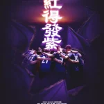 FC안양 FC서울 2026 K리그1 24라운드 경기