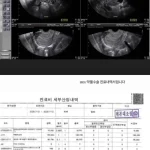 배우 홍민기 전 여자친구 폭로와 법적 대응 논란