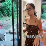 황정음 반려견 두 마리 유튜브 공개 모습