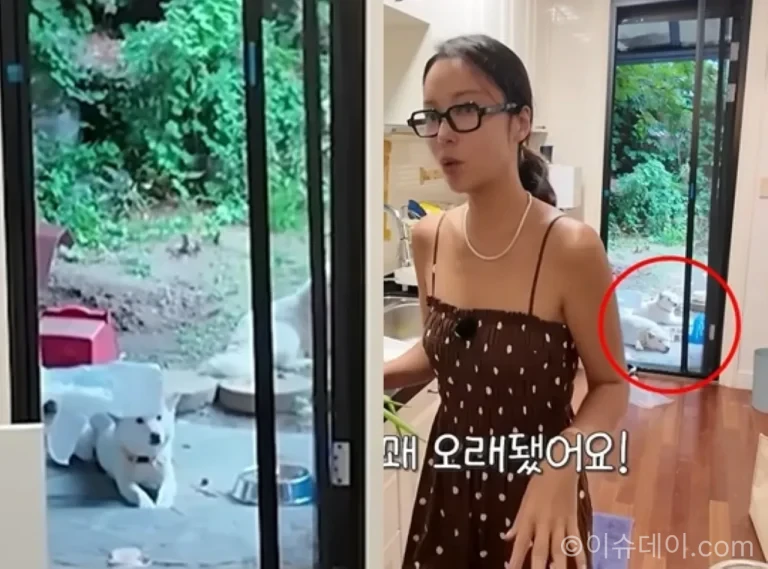 황정음 반려견 두 마리 유튜브 공개 모습