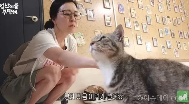 김정난 유기묘 보호소 방문