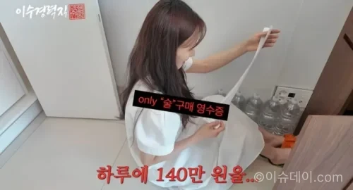 배우 이수경 유튜브 술 소개