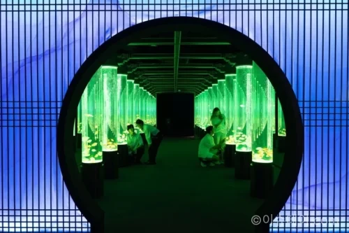 롯데월드 아쿠아리움 물빛정원 금붕어 포토존
