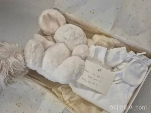 서혜원 임신