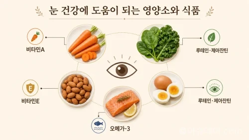 당근·시금치와 케일·달걀·연어·아몬드