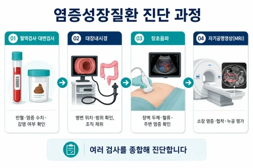염증성장질환의 혈액 대변 내시경 영상검사 과정