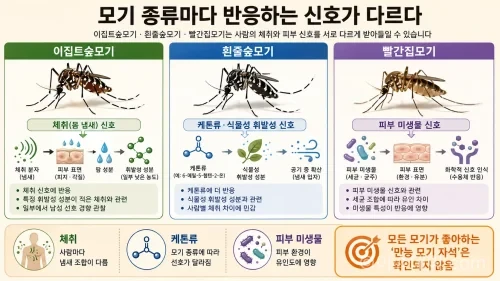 모기 종류에 따른 냄새 선호 차이