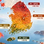 2026 단풍 절정 시기
