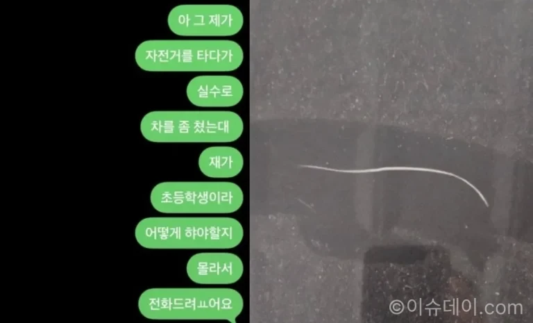 초등학생 차량 긁힘 사고 후 차주에게 직접 연락한 사연